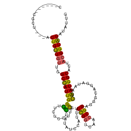 secondary structure