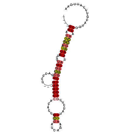 secondary structure