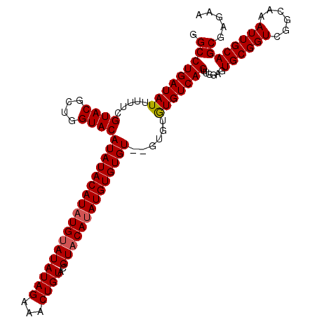 secondary structure