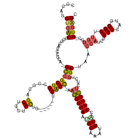 secondary structure