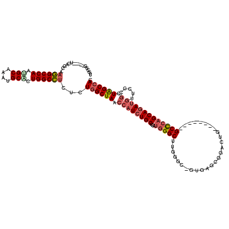 secondary structure