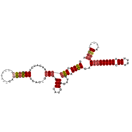 secondary structure