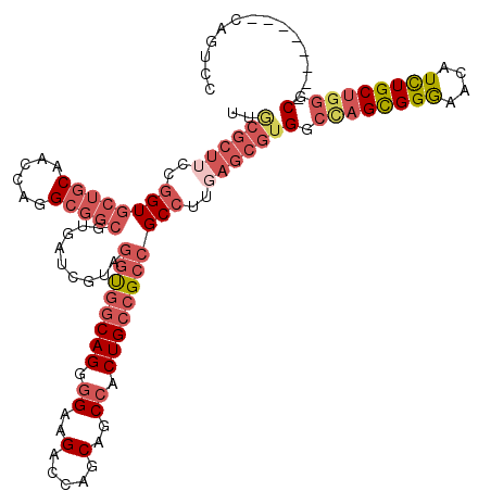 secondary structure