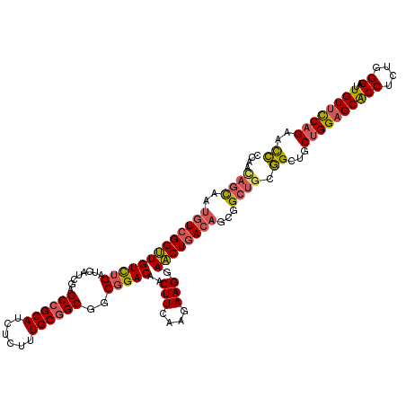 secondary structure