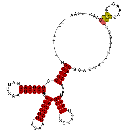 secondary structure