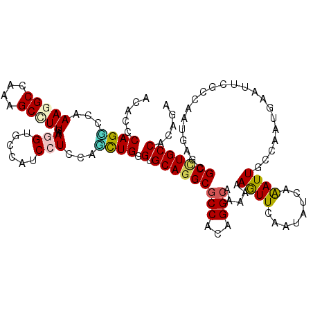 secondary structure