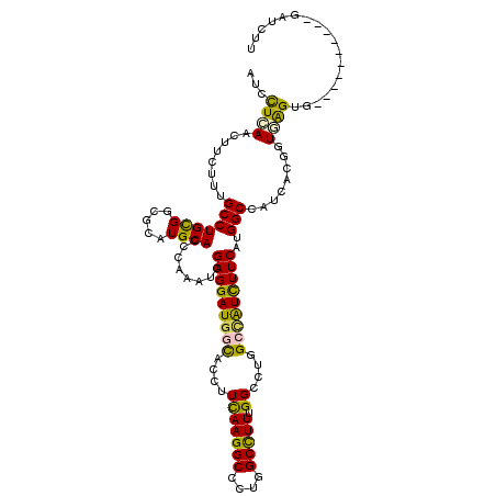 secondary structure