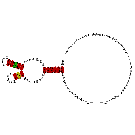 secondary structure