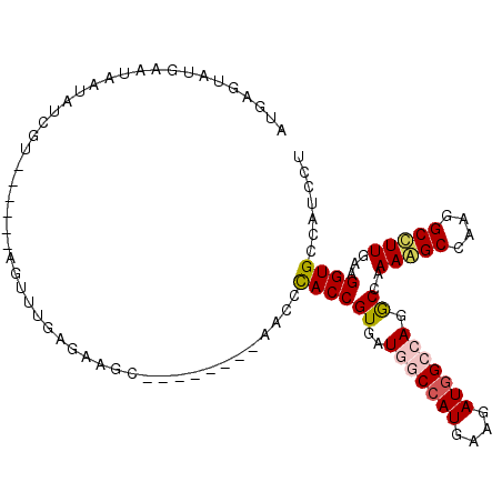 secondary structure