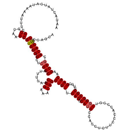 secondary structure