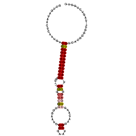 secondary structure