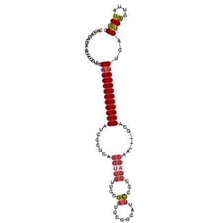 secondary structure