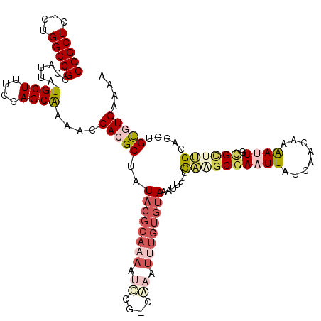 secondary structure