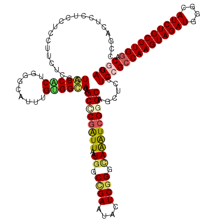 secondary structure