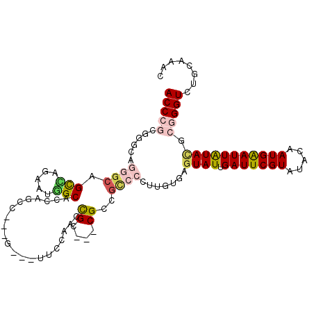 secondary structure