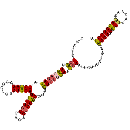 secondary structure