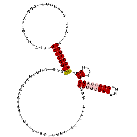 secondary structure