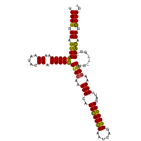 secondary structure