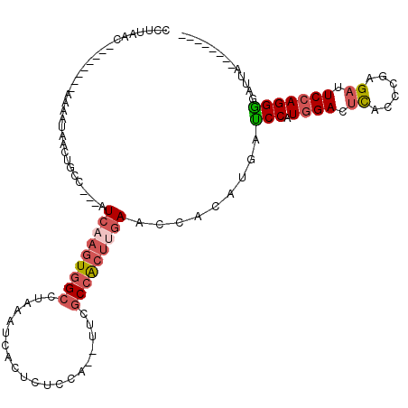 secondary structure