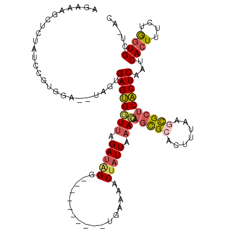 secondary structure