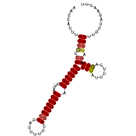 secondary structure