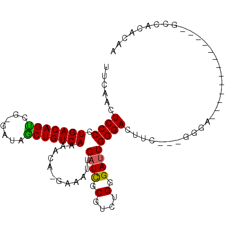 secondary structure