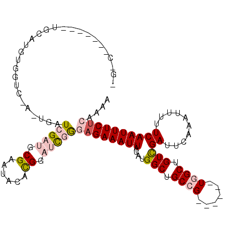 secondary structure