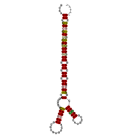 secondary structure