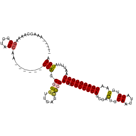 secondary structure