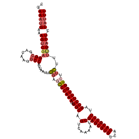 secondary structure