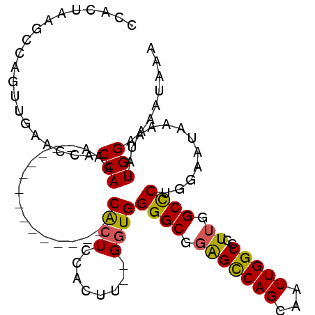 secondary structure
