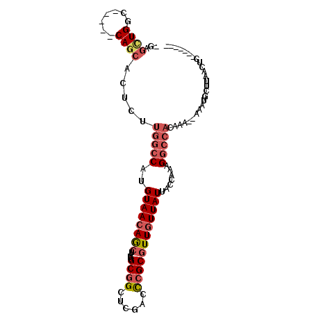 secondary structure