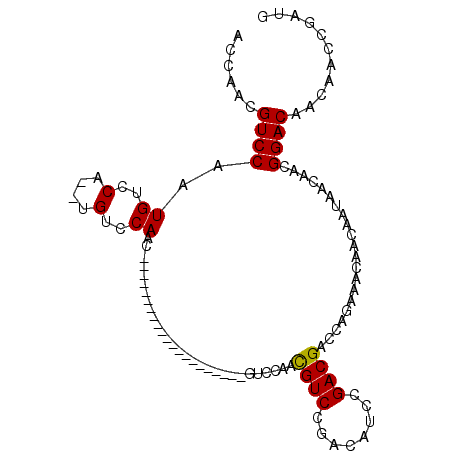 secondary structure