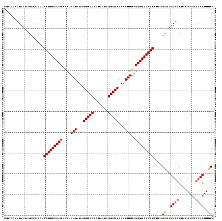 dotplot
