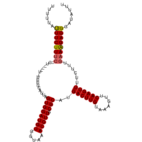 secondary structure