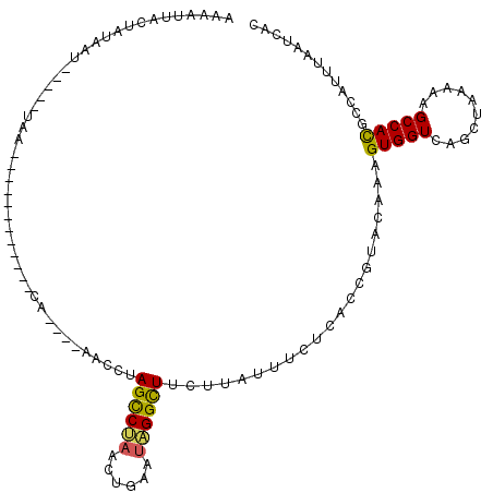 secondary structure