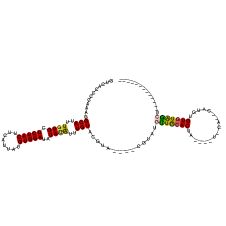 secondary structure