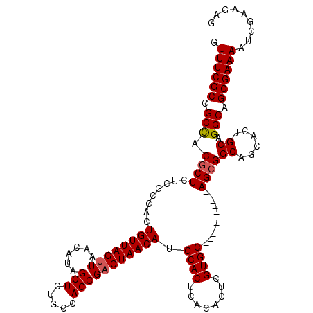 secondary structure