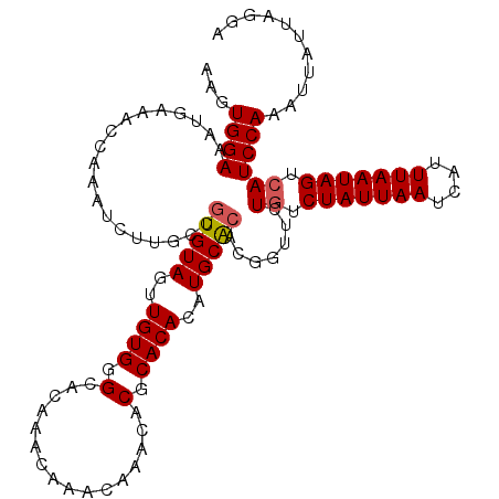 secondary structure