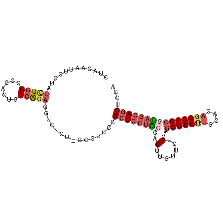 secondary structure