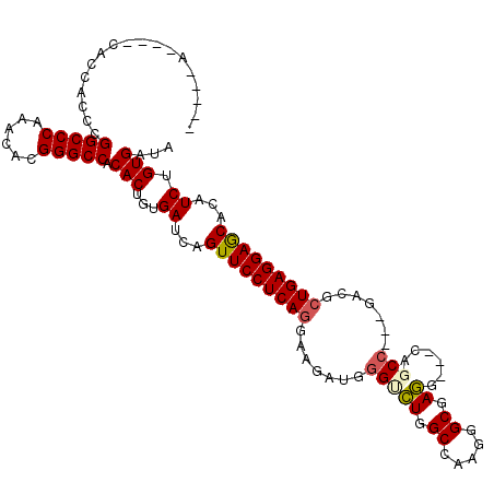 secondary structure