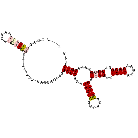 secondary structure