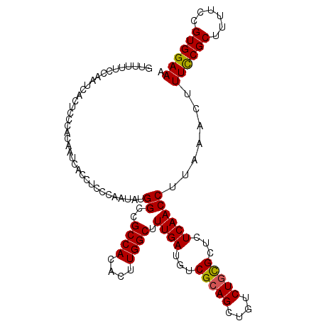 secondary structure