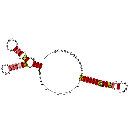 secondary structure