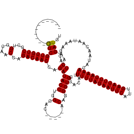 secondary structure