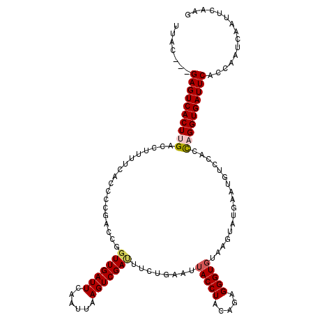 secondary structure