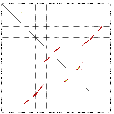 dotplot