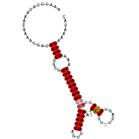secondary structure