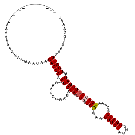 secondary structure