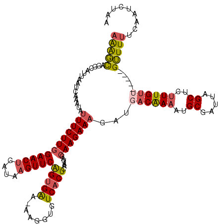 secondary structure